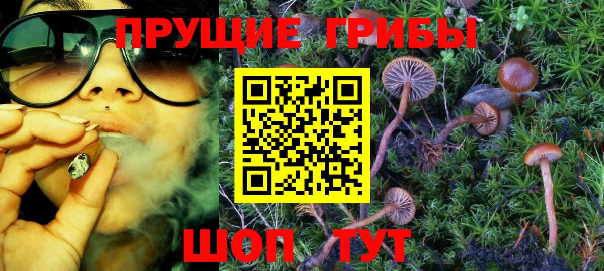 Галлюциногенные грибы GOLDEN TEACHER  Вход с VPN  Мыски 