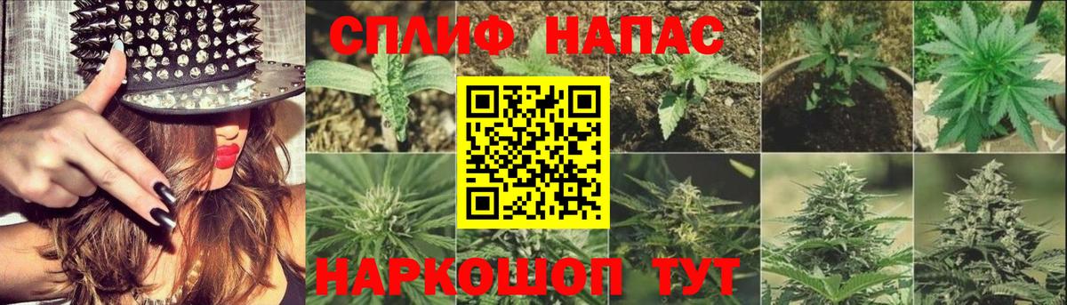 Марихуана тримм Мыски